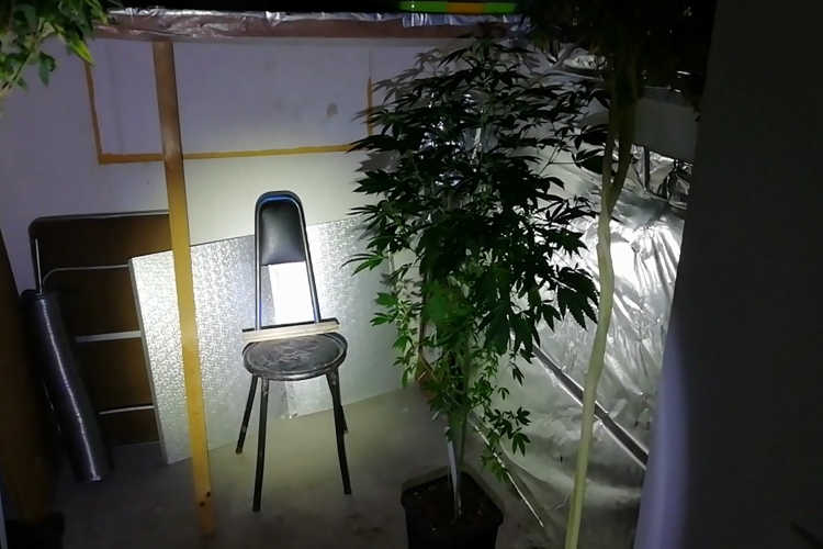 Több mint 25 milliónyi droggal bukott le egy díler - VIDEÓ