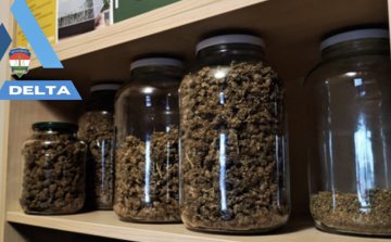 TÖBB KILÓ MARIHUÁNÁT TARTOTT OTTHON 