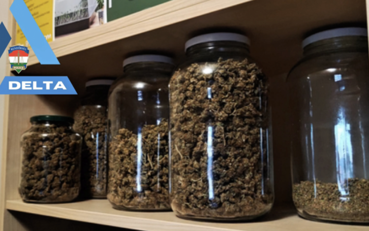 TÖBB KILÓ MARIHUÁNÁT TARTOTT OTTHON 